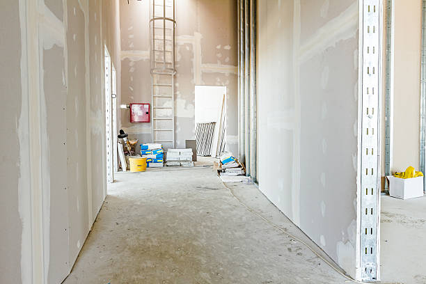 Best Comprehensive Air Testing for Mold Contaminants  in Banner Hill, TN